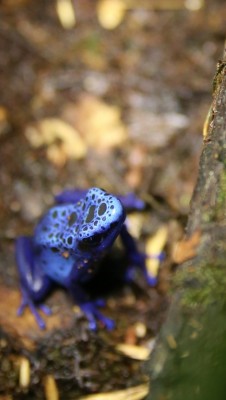 IMG_0894 (433x768).jpg