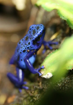 IMG_0896 (533x768).jpg