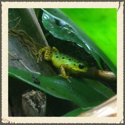 ImageUploadedByTapatalk 21373271197.516286.jpg