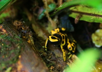 IMG_0963 (768x542).jpg