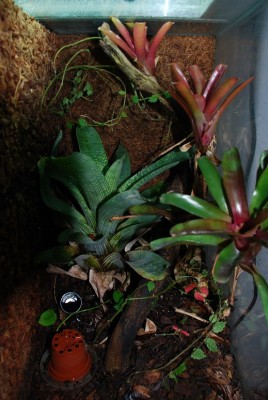 Här bor Bastimentos.JPG