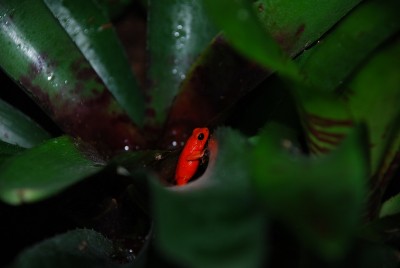 Nybadad Nancyrumpa.JPG