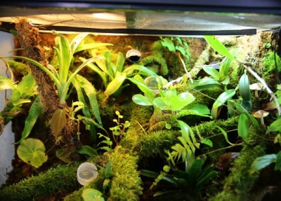 IMG_0826 (550x395).jpg