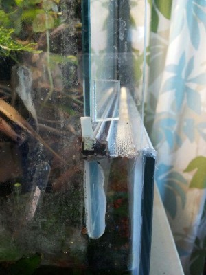 20131201_142258 (480x640).jpg