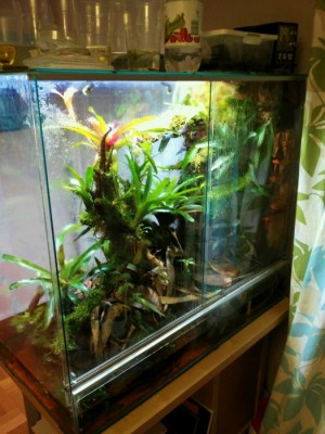 Photo 4 (2) (525x700).jpg