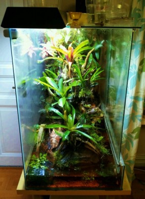 Photo 5 (2) (512x700).jpg