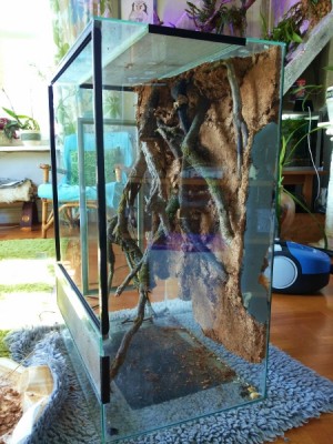 20140330_142822 (450x600).jpg