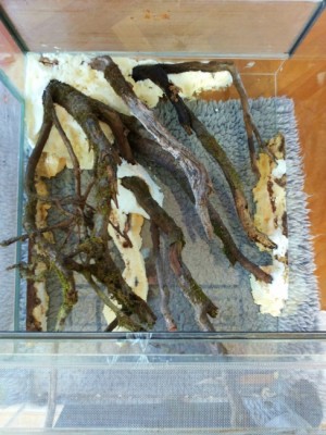 20140330_102559 (488x650).jpg