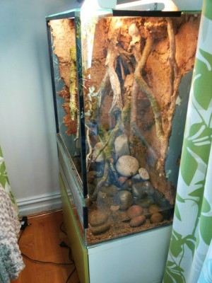 20140401_181506 (488x650).jpg