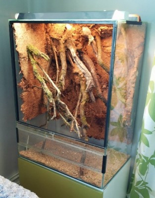 20140401_174447 (509x650) (470x600).jpg