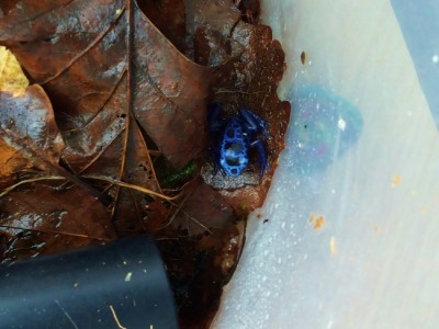 20140402_173706 (650x488).jpg