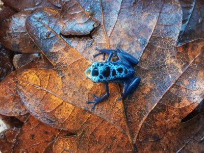 20140402_173838 (550x413).jpg