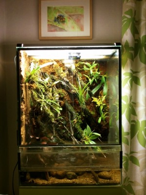 20140406_201630 (488x650).jpg