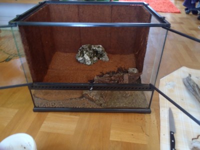 P4140011 (650x488).jpg