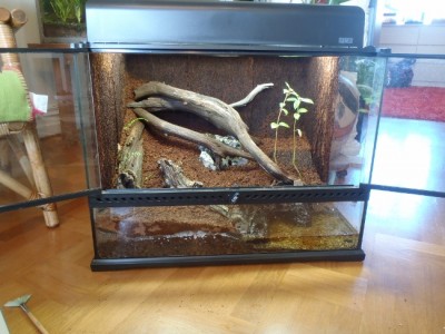 P4140015 (650x488).jpg