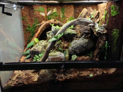 IMG_0129 (600x450).jpg