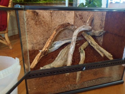 P4140064 (600x450).jpg