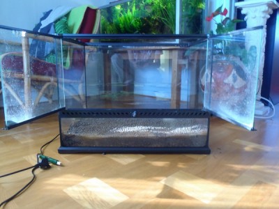 P4140060 (600x450).jpg