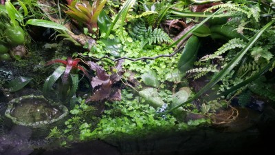 20150522_185230.jpg