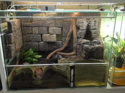 2015-07-30 13.23.53.jpg