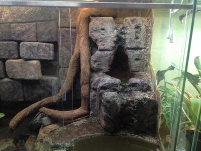 2015-07-30 13.24.01.jpg