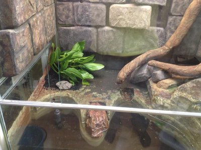 2015-07-30 13.24.09.jpg