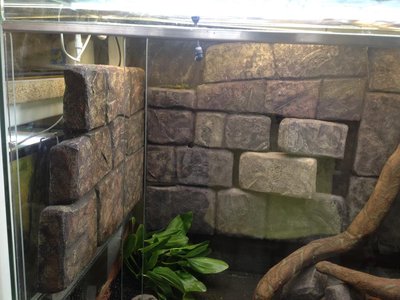 2015-07-30 13.24.11.jpg