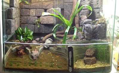 2015-08-03 09.41.32.jpg