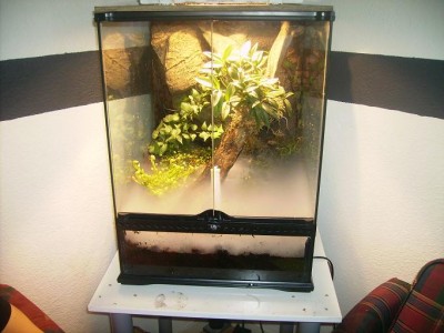 rain for mist 1x.JPG