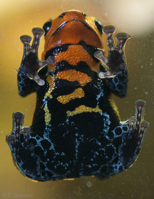 _IGP5674.jpg
