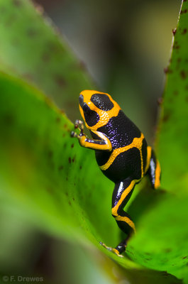 _IGP0867.jpg