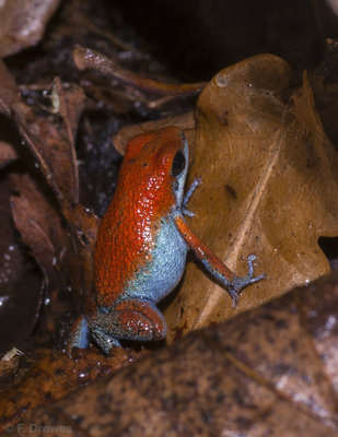_IGP8581.jpg