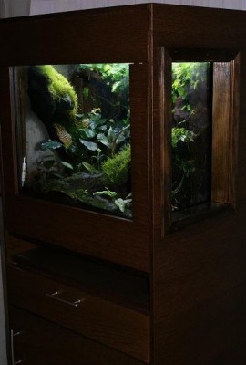 Terrariet.JPG