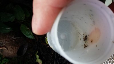 20151006_083104.jpg