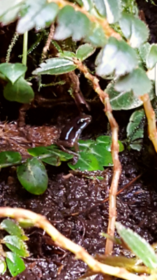 2016-04-08 17.10.03 - Kopia - Kopia.png