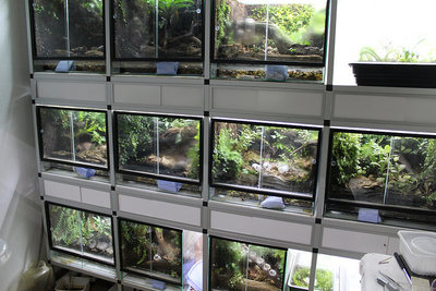 This is Stu's rack system. Thank you for letting me use this pic Stu! :) And please visit the thread in the link below.