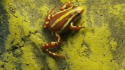 20160604_160658.jpg