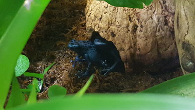 20160605_105959.jpg
