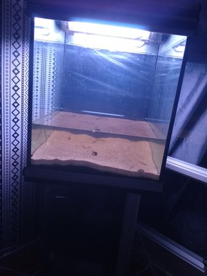 Akvarium där dom fula lysrören syns och ett hum om hur mycket vatten det ska va om det blir vattendel