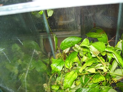 100_2919.JPG