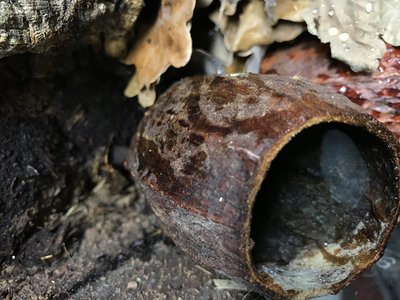 Kakaofrökapslar som håller vattnet!