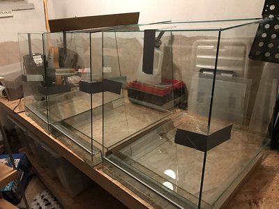 Terrariehyllaväntrum