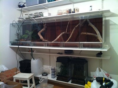 Före plantering ... (2011)