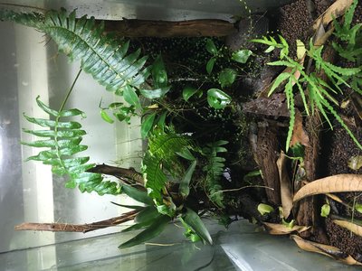 Bra med mycket bilder i den här tråden..