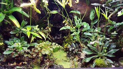 20170108_165906 - Kopia.jpg