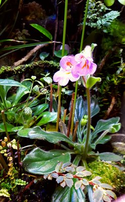 20170114_211851 - Kopia.jpg