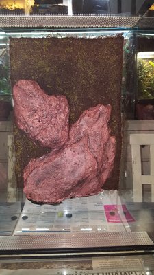 20170115_191821 - Kopia.jpg