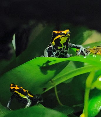 IMG_0703.JPG