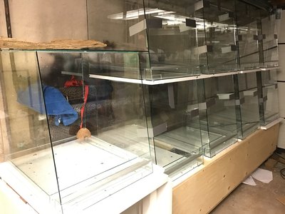 Hultekemodellen.JPG (1.75 MiB) Visad 4497 gånger 9/12 burkar i denna omgång. Finns 6 yngelburkar också. Observera kokosnöten! Lars, om du klickar på bilden får du upp den i storlek. Som du ser har jag ingen övre frontglasskiva. Hur blir det ett bekymmer?