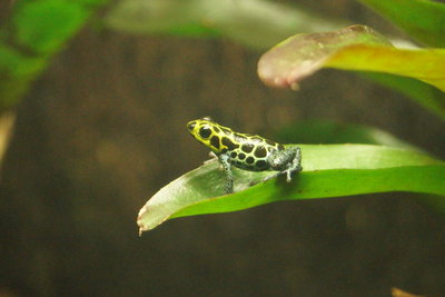 DSC06468.JPG